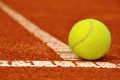 LE PALLINE DA TENNIS